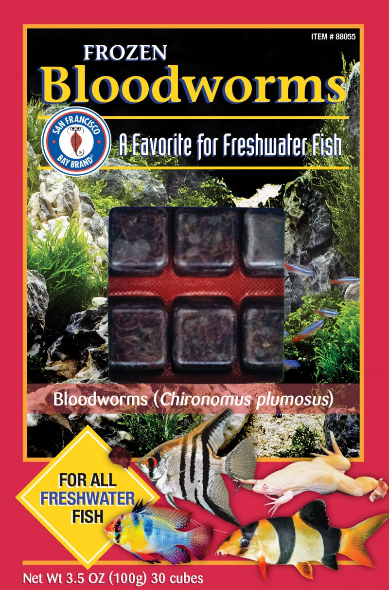 San Francisco: Bloodworms