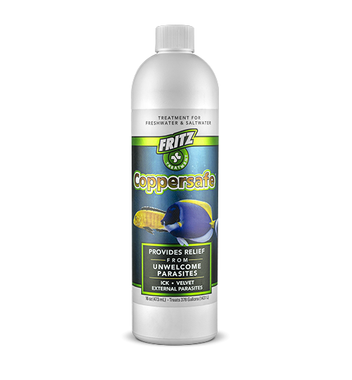 Fritz: Coppersafe