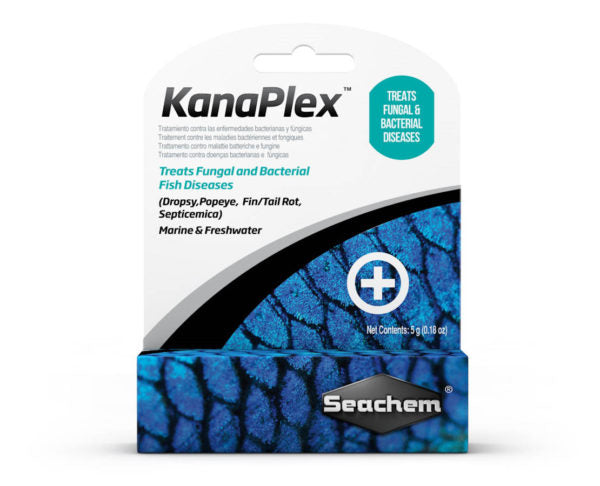 Fritz: KanaPlex