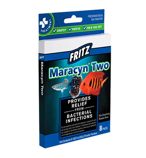 Fritz: Maracyn Two