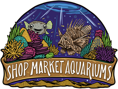 Regarding Shop Market Aquariums