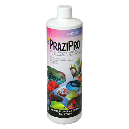 PraziPro