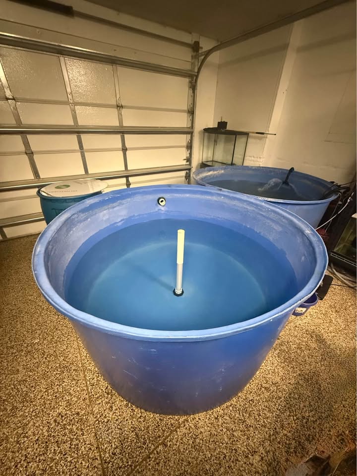 440 Gallon Pond
